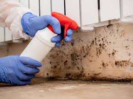 Best Mold Removal for HVAC Installations  in Dallastown, PA